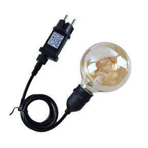 Battery Powered Pendant Light AC Plug optional