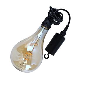 A110 Battery Powered Filament Pendent Light