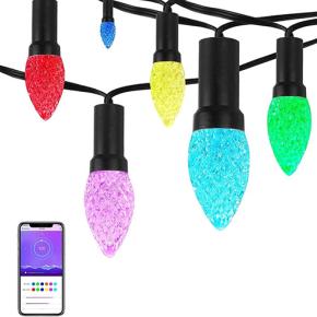 Outdoor Bluetooth LED Strawberry String Lights